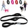 Shed Defender 5 Ft Three Handle Dog Leash Seen on Shark Tank Heavy Duty Reflective Dog Leash wPadded Traffic Handles for Training Walking Control Durable Leash for Small Medium Large Dogs