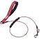 VIVAGLORY Chew Proof Dog Leash Toughbite Non Chewable Dog Leash with Traffic Handle Double Handle for Training Walking Chew Proof Non Chewable Metal for Pet Puppy 4FT Red