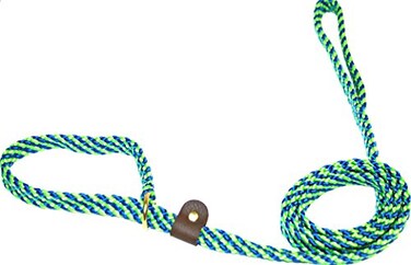 Lone Wolf Slip Lead for Dogs 58 by 6Feet Surfside Lime GreenPacific Blue Spiral