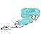 Pawtitas Teal Dog Leash 6 ft ML Reflective Durable Lightweight Dog Lead for Medium or Large Dogs and Puppies