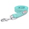 Pawtitas Teal Dog Leash 6 ft ML Reflective Durable Lightweight Dog Lead for Medium or Large Dogs and Puppies