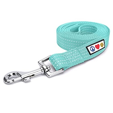 Pawtitas Teal Dog Leash 6 ft ML Reflective Durable Lightweight Dog Lead for Medium or Large Dogs and Puppies