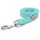 Pawtitas Teal Dog Leash 6 ft ML Reflective Durable Lightweight Dog Lead for Medium or Large Dogs and Puppies