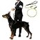 BeauGo Dog Training Leash 36ftTraining Rope Designed specifically for Dog Training and competitionsLightweight Dogs Training Rope for Large Medium and Small DogsNoPull Training Walking