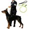 BeauGo Dog Training Leash 36ftTraining Rope Designed specifically for Dog Training and competitionsLightweight Dogs Training Rope for Large Medium and Small DogsNoPull Training Walking