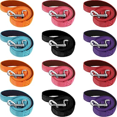 Vicenpal 12 Pcs Double Sided Reflective Dog Leash with Soft Padded Handle Bulk Nylon Animal Leashes for Medium and Large Dogs Heavy Duty Animal Leash for Walking Training 6 Colors5 ftCute Colors