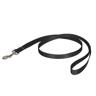 PetSafe Nylon Dog Leash Strong Durable Traditional Style Lead with Easy to Use Bolt Snap for Small Medium and Large Dogs 34 x 4 Black