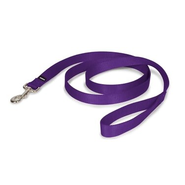 PetSafe Nylon Dog Leash Strong Durable Traditional Style Lead with Easy to Use Bolt Snap for Small Medium and Large Dogs 1 x 6 Deep Purple