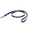 PetSafe Nylon Dog Leash Strong Durable Traditional Style Lead with Easy to Use Bolt Snap for Small Medium and Large Dogs 34 x 4 Royal Blue
