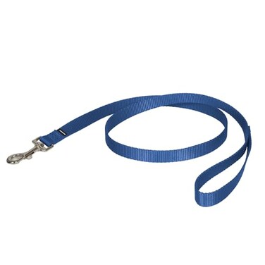 PetSafe Nylon Dog Leash Strong Durable Traditional Style Lead with Easy to Use Bolt Snap for Small Medium and Large Dogs 34 x 4 Royal Blue