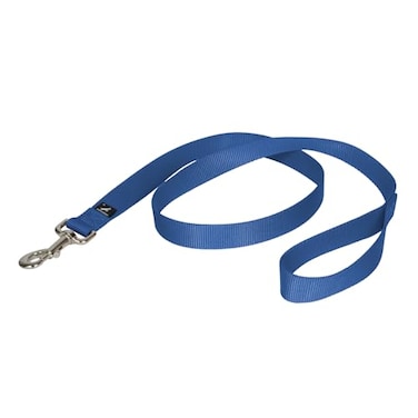 PetSafe Nylon Dog Leash Strong Durable Traditional Style Lead with Easy to Use Bolt Snap for Small Medium and Large Dogs 1 x 4 Royal Blue