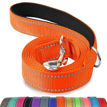 Joytale Dog Leash 6 FT DoubleSided Reflective Padded Handle Nylon Heavy Duty Leashes for Medium Large Dogs Walking Orange