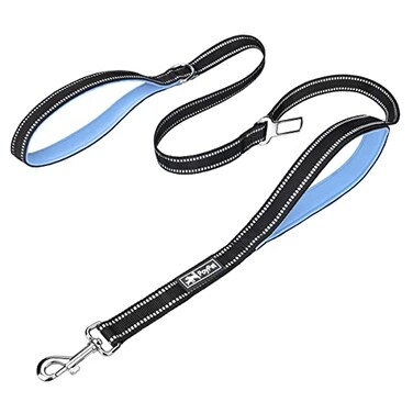 PoyPet 5 Feet Dog Leash 3M Reflective 2 Cushioned Handles Functional Car Seat BeltLight Blue