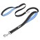 PoyPet 5 Feet Dog Leash 3M Reflective 2 Cushioned Handles Functional Car Seat BeltLight Blue