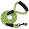 Mile High Life Comfortable Padded Handle Dog Leash Mountain Climbing Rope Leash Heavy Duty 4 Feet Black Lime Green