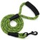Mile High Life Comfortable Padded Handle Dog Leash Mountain Climbing Rope Leash Heavy Duty 4 Feet Black Lime Green