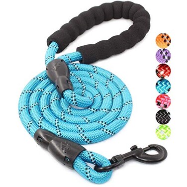 BAAPET 2456 FT Dog Leash with Comfortable Padded Handle and Highly Reflective Threads for Small Medium and Large Dogs 5FT12 Blue