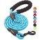 BAAPET 2456 FT Dog Leash with Comfortable Padded Handle and Highly Reflective Threads for Small Medium and Large Dogs 5FT12 Blue
