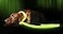 ILLUMISEEN LED Light Up Dog Leash Ultra High Visibility Up to 350 Yards 3 Lighting Modes USB Rechargeable No Batteries Needed Padded Handle Rotating Swivel Clasp to Prevent Leash Tangling
