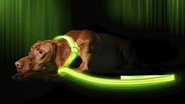 ILLUMISEEN LED Light Up Dog Leash Ultra High Visibility Up to 350 Yards 3 Lighting Modes USB Rechargeable No Batteries Needed Padded Handle Rotating Swivel Clasp to Prevent Leash Tangling