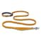 Ruffwear Roamer Bungee Dog Leash for Running Biking or Hiking Can be Used HandHeld or HandsFree Yellow Snow 557