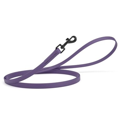 Dogline Biothane Waterproof Dog Leash Strong Coated Nylon Webbing with Black Hardware OdorProof Easy to Clean High Performance for Small or Large Dogs Made in USA 4 or 6 ft Lead Violet Purple