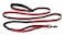 HALTI Active Leash AwardWinning Bungee Dog Leash ShockAbsorbing AllinOne Neoprene Padded Belt Lead Perfect for Running Training with Medium Large Dogs Size Large Red