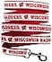 Pets First NCAA PET Leash Medium Wisconsin Badgers Shiny Colorful Leash for Dogs Cats Licensed by The NCAA