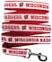 Pets First NCAA PET Leash Medium Wisconsin Badgers Shiny Colorful Leash for Dogs Cats Licensed by The NCAA
