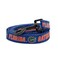 ShopInstaPets InstaPetShop Florida Gators Adjustable Collars and Leashes Officially Licensed Fits All Pets 6 Ft Leash