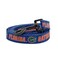 ShopInstaPets InstaPetShop Florida Gators Adjustable Collars and Leashes Officially Licensed Fits All Pets 6 Ft Leash