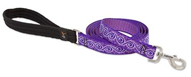 LupinePet Originals 1 Jelly Roll 6Foot Padded Handle Leash for Medium and Larger Dogs