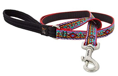 Lupine Dog Leash by 34 Wide El Paso Design 6Foot Long with Padded Handle