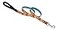 LupinePet Originals 34 Crazy Daisy 6Foot Padded Handle Leash for Medium and Larger Dogs