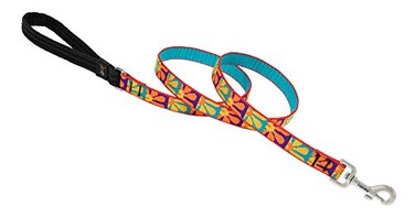 LupinePet Originals 34 Crazy Daisy 6Foot Padded Handle Leash for Medium and Larger Dogs