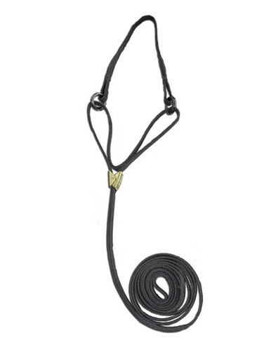 Resco Professional CordoHyde Martingale Dog Show Lead 316 x 42Inch Long Black