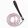 RUMYPET Rose Gold Dog Chain Leash 10MM 14MM Curb Cuban Link Chain Dog Leash Strong Chew Proof Stainless Steel Leash 3FT4FT5FT for Small Medium Large Dogs10mm4ft