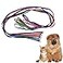 Litewoo 6 Packs Slip Lead Dog Leash Durable and Comfortable for Cats Dogs and Other Small Animals