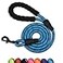 Panykoo 56 FT Strong Pet Dog Leash with Soft Padded HandleHighly Reflective Rope for Night Walking360Degree Rotating Metal Buckle Without TanglesSuitable for SmallMedium and Large Dogs5ft