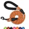 Panykoo 56 FT Strong Pet Dog Leash with Soft Padded HandleHighly Reflective Rope for Night Walking360Degree Rotating Metal Buckle Without TanglesSuitable for SmallMedium and Large Dogs6ft