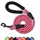 Panykoo 56 FT Strong Pet Dog Leash with Soft Padded HandleHighly Reflective Rope for Night Walking360Degree Rotating Metal Buckle Without TanglesSuitable for SmallMedium and Large Dogs6ft