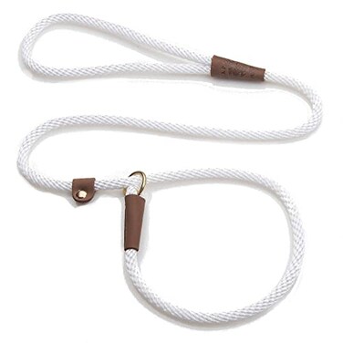 Mendota Pet Slip Leash Dog Lead and Collar Combo Made in The USA White 38 in x 6 ft for SmallMedium Breeds