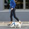 Rogz Reflective Dog Leash for Medium Dogs 58 wide 6 long Purple