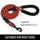 Panykoo 56 FT Strong Pet Dog Leash with Soft Padded HandleHighly Reflective Rope for Night Walking360Degree Rotating Metal Buckle Without TanglesSuitable for SmallMedium and Large Dogs6ft