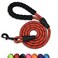 Panykoo 56 FT Strong Pet Dog Leash with Soft Padded HandleHighly Reflective Rope for Night Walking360Degree Rotating Metal Buckle Without TanglesSuitable for SmallMedium and Large Dogs6ft