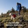 Ruffwear Crag Dog Leash 6 ft Reflective Everyday Lead Swiveling Talon Clip Padded Handle HandsFree WaistWorn Option Traffic Handle with Accessory Loop Alpine Dawn