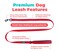 Best Pet Supplies Voyager Reflective Dog Leash or Collar with Neoprene Handle for Small Medium and Large Breed Puppies Cute and Heavy Duty for Walking Running and Training Red Leash L