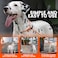 HowGo Slip Lead Dog Leash with Padded Handles Lightweight Dog Training Leash with 360Swivel AntiTangle HeavyDuty Lead and Collar for Large Medium and Small NoPull Walking Multicolor 36FT