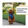 Ruffwear Front Range Dog Leash 5 ft Lead with Padded Handle for Everyday Walking Blue Pool