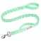 OutdoorMaster Bungee Dog Leash Heavy Duty Dog Leash with Shock Absorption 2 Padded Handles Training Leash Improved Dog Safety and Comfort Green 4 FT